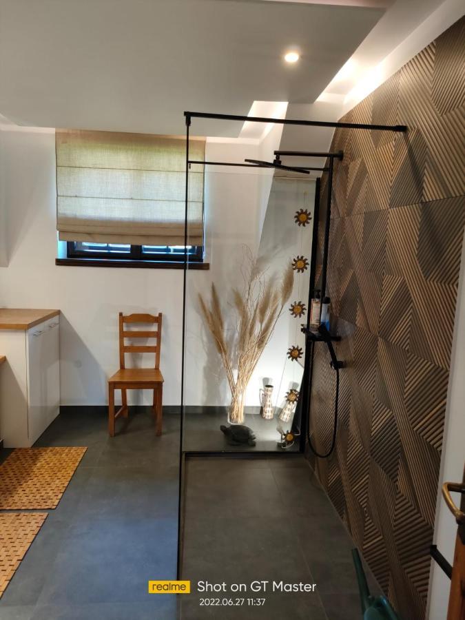 Apartament Forest Mysłakowice Εξωτερικό φωτογραφία