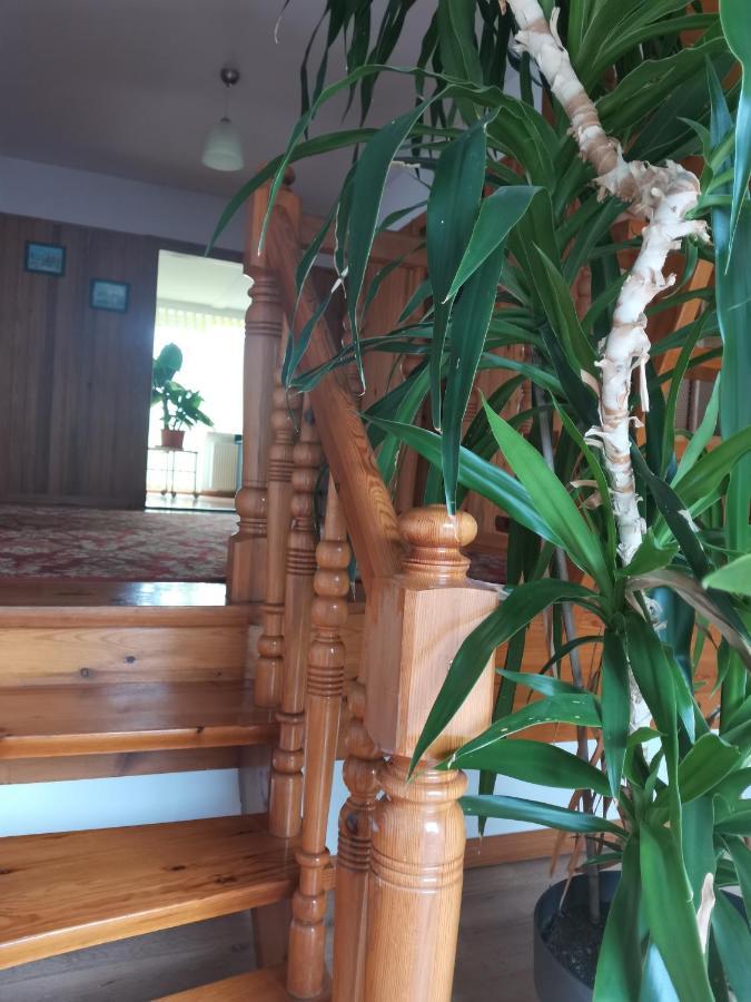 Apartament Forest Mysłakowice Εξωτερικό φωτογραφία
